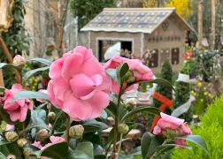 Fruehling In Der Goethe Galerie  Februar 2026 09